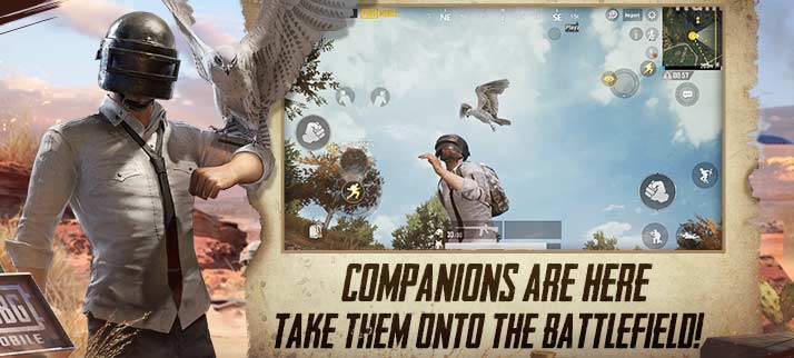 Компаньон в PUBG Mobile 0.15.5