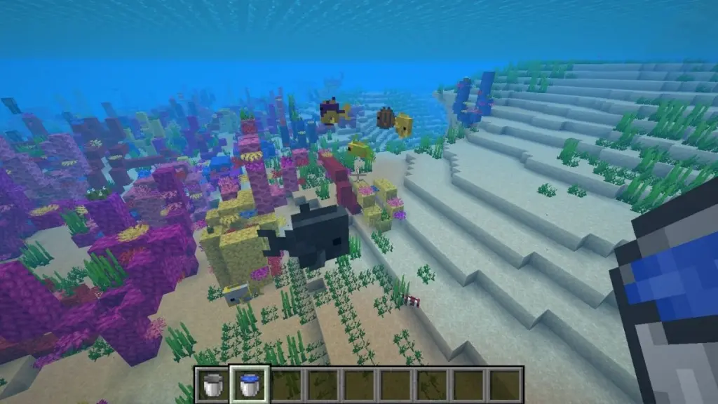 Что едят аксолотли в Minecraft