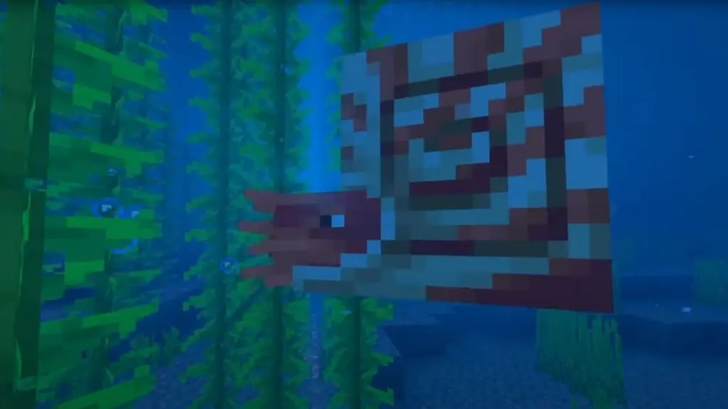 Наутилус в Minecraft: как найти, приручить и оседлать водного моба