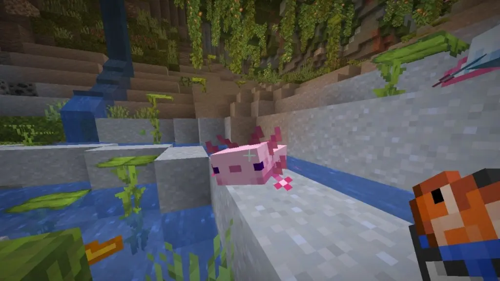Что едят аксолотли в Minecraft