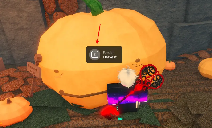 Как выполнить квест Тыквенного Короля (Pumpkin King) в Fisch (Фиш) и получить бесплатные награды