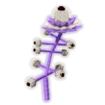 Все новые растения события Торговца в Вырасти Сад (Grow a Garden)