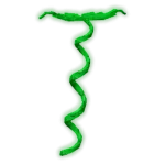 Все новые растения события Торговца в Вырасти Сад (Grow a Garden)