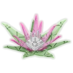 Все новые растения события Safari Harvest (Урожай сафари) в Вырасти Сад (Grow a Garden)