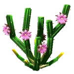 Все новые растения события Safari Harvest (Урожай сафари) в Вырасти Сад (Grow a Garden)