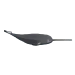 Все рыбы в Abyss (Бездна): где их ловить и как себя ведут